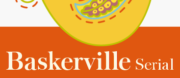 Baskerville Serial-Regular